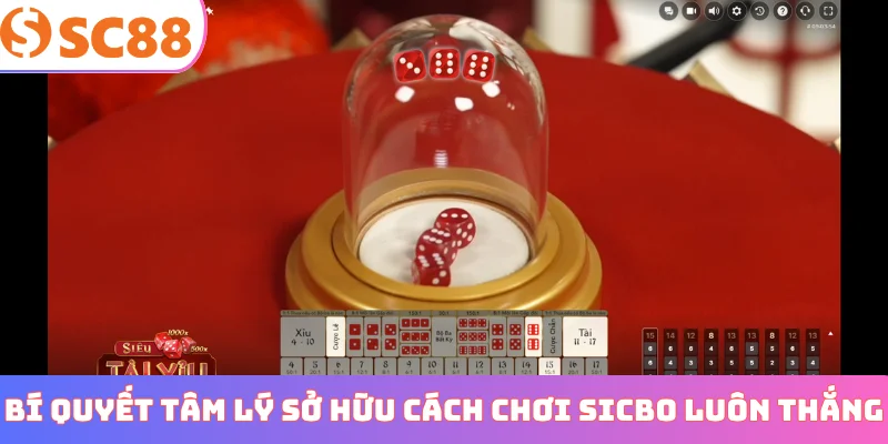 Bí quyết tâm lý sở hữu cách chơi sicbo luôn thắng